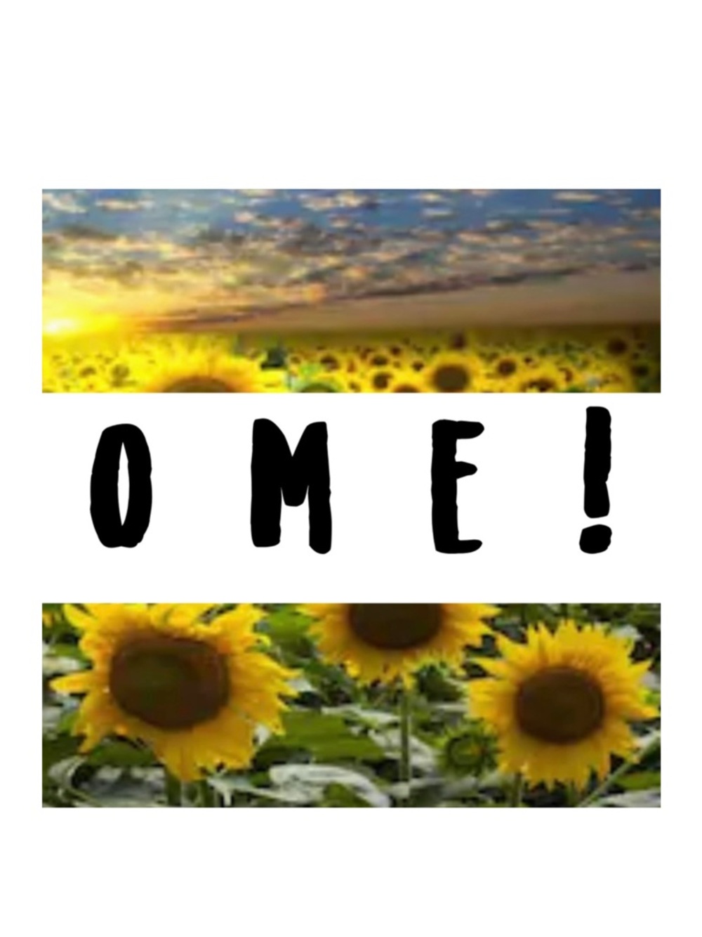 🌻Offers welcome here!🌻